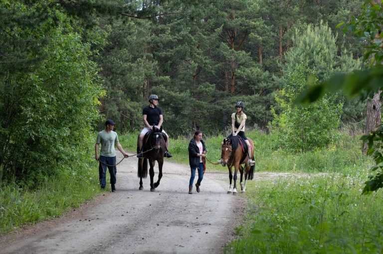 Конные прогулки в Екатеринбурге по лесу и лугам