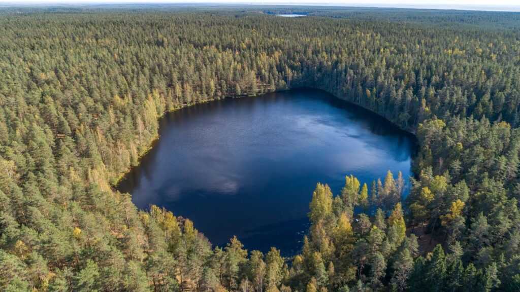 щучье озеро в свердловской области