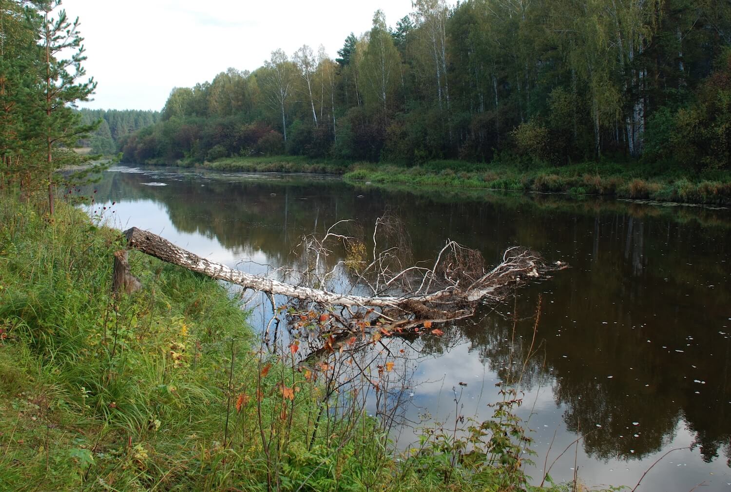 река реж в свердловской области