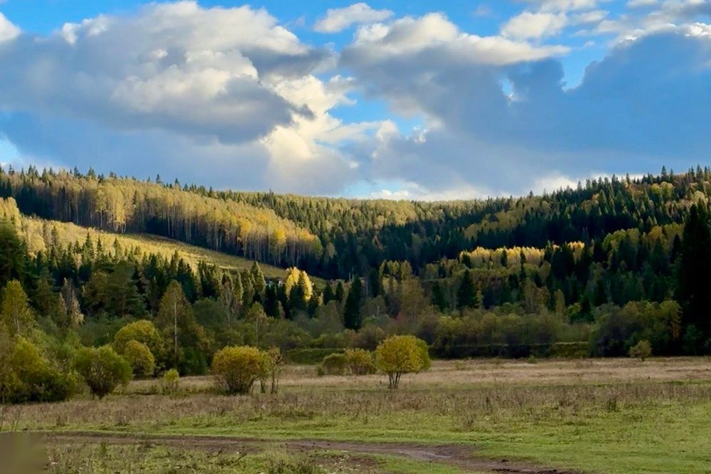 Вакутин камень
