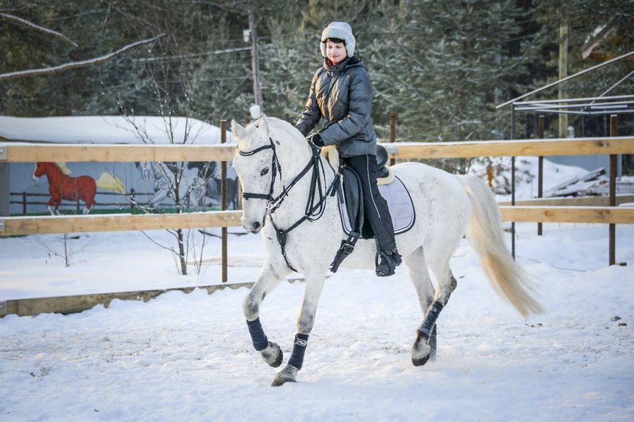 Конная прогулка под Екатеринбургом