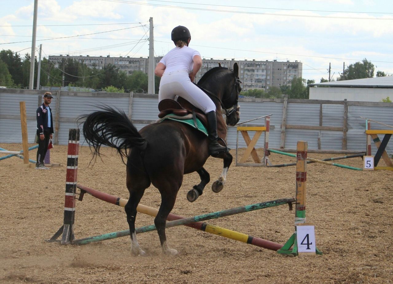 Верховая езда и конкур в Екатеринбурге
