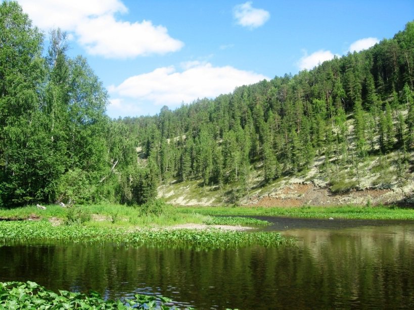 Тихий плёс реки Лопсия среди тайги
