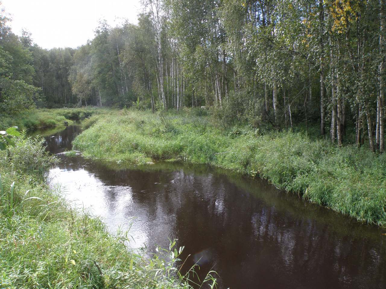 Мансийский посёлок Ушма на реке Лозьва