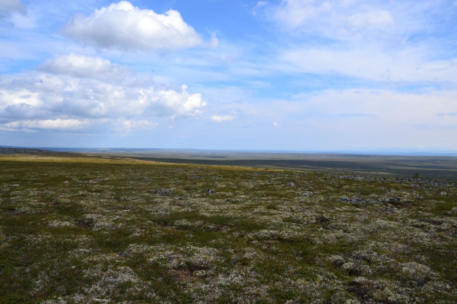 Mountain plateau in Yugyd Va N.P