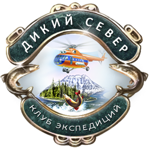 Напитки на маршруте: чай на травах и взвар — Напитки №15