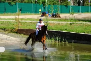 конные клубы около екатеринбурга